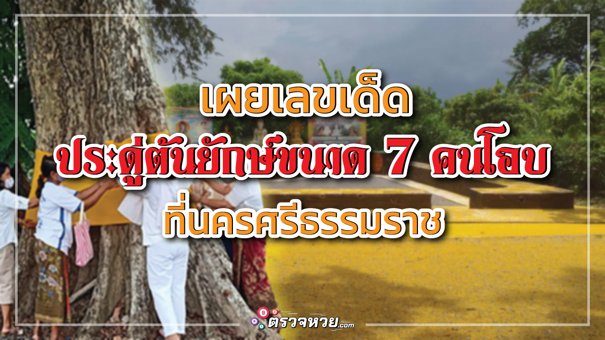 เผยเลขเด็ด จากต้นประดู่ยักษ์ ขนาด 7 คนโอบ ที่นครศรีธรรมราช