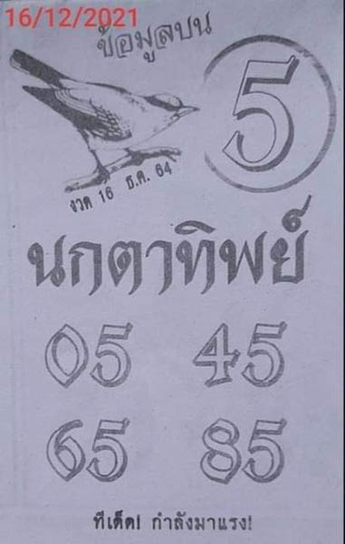 เลขเด็ดนกตาทิพย์16/12/64