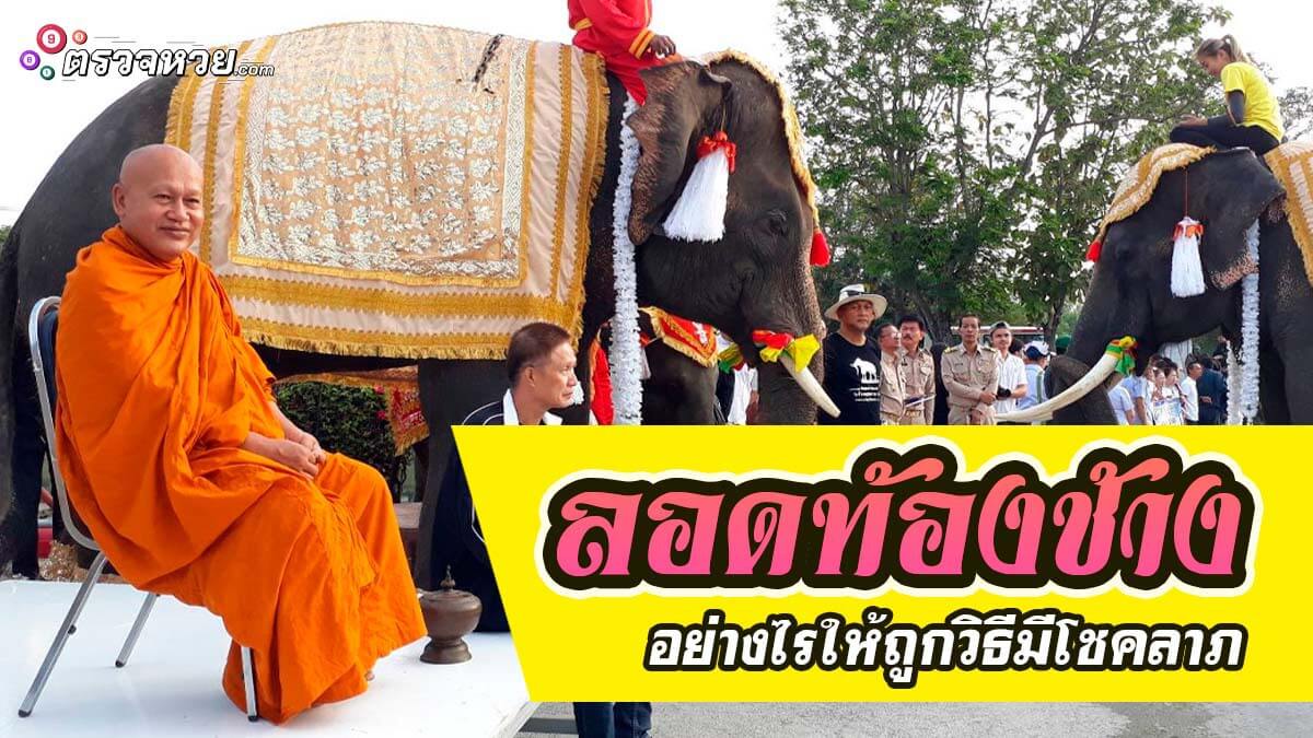 ลอดท้องช้าง อย่างไรให้ถูกวิธีมีโชคลาภเข้ามาไม่ขาดสาย